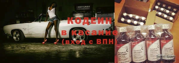 прущая мука Вяземский