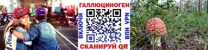 Галлюциногенные грибы GOLDEN TEACHER  Купить  Обь 